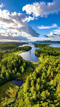 Lake and Forest Aerial.