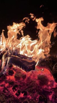 Tranquil Fire Ambiance in the Wild Nature
