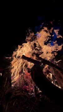 Burning Wood Logs in Slow Motion