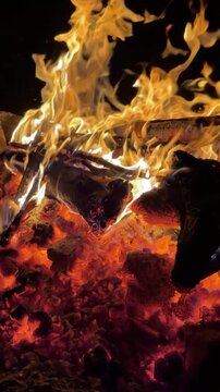 Mesmerizing Flames of a Mountain Campfire