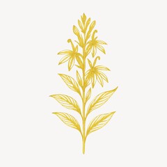 Obraz premium Elegant golden floral illustration.
