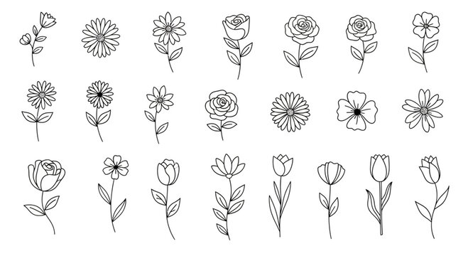 Collection of Hand-Drawn Botanical Elements and Floral Illustrations.