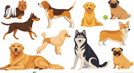 Fototapeta premium Cute dog breeds vector illustration set with husky golden retriever pug and corgi isolated on white background