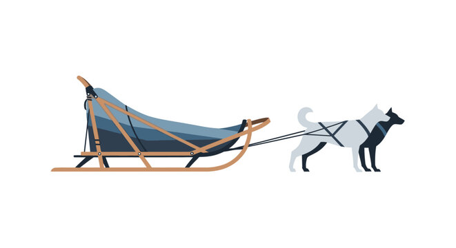 Dog sled team pulling a sled on a white background.