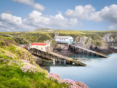 St Justinian, Pembrokeshire, Wales, UK, the two lifeboat sheds, spring wildflowers, lush green grass, blue sky.