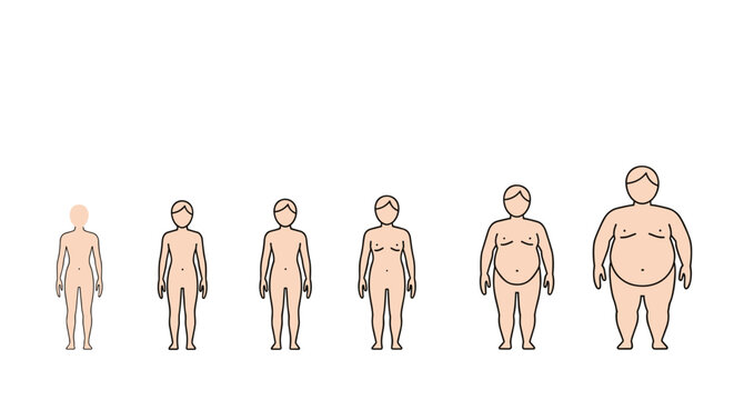 Infographic illustration showing human body size progression from lean to overweight to obese representing weight gain and health awareness themes.