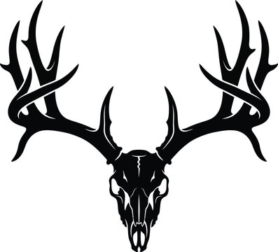 Deer skull with large antlers silhouette icon, trophy buck head vector, hunting and wilderness symbol, minimalist animal skull illustration isolated on white background.