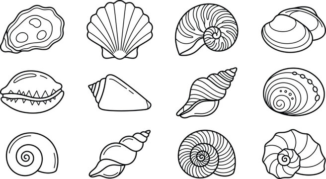 Seashell and marine outline icons collection, ocean nature illustration set, coastal beach and shell concept
