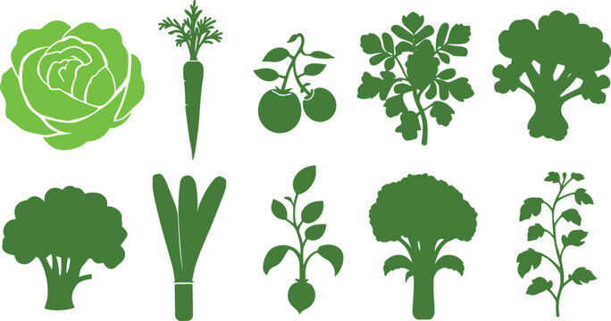 Vegetable Silhouette Vector Illustrations Featuring Cabbage, Carrot, Tomato, Parsley, Broccoli and Radish Designs