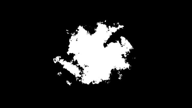 Transitions of black expanding paint stains on white backdrop Grunge Ink spreads and fills the screen. flows and streams. Ink bloom. Black color inks drop composition splatter