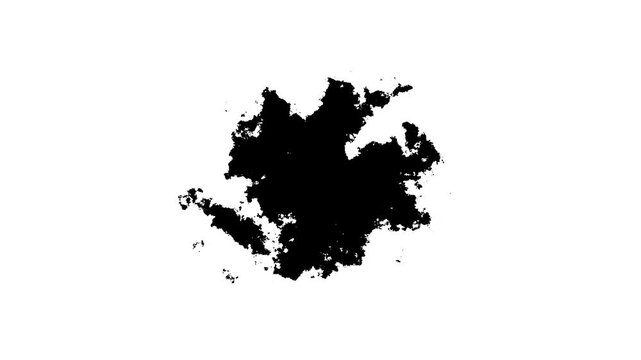 Transitions of black expanding paint stains on white backdrop Grunge Ink spreads and fills the screen. flows and streams. Ink bloom. Black color inks drop composition splatter