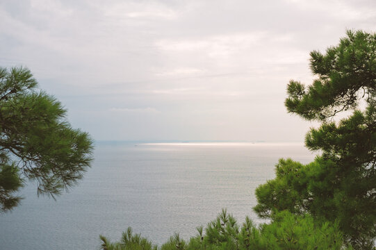 Scenic seaside landscape overlooks calm horizon
