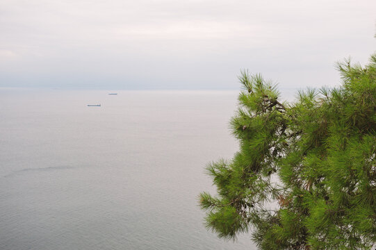 Scenic seaside landscape overlooks calm horizon