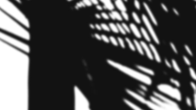 Abstract shadow patterns of palm leaves on a white surface.