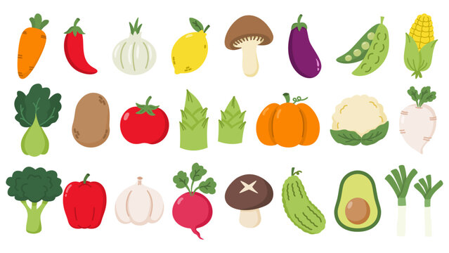 A Set of illustrations with various vegetables. Healthy nutrition. Vector illustrations