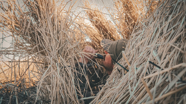 in the blind