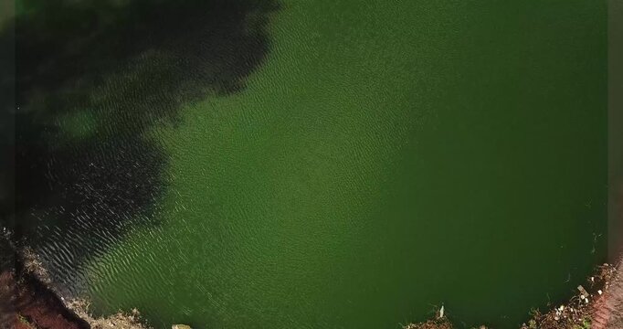 Aerial top-down drone shot of algae-covered green pond with red soil banks in Africa
