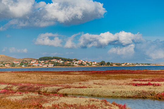 Lemnos, Greece - October 23, 2025: Vibrant red glasswort vegetation in the wetlands of Moudros Bay with the village of Nea Koutali in the background.
