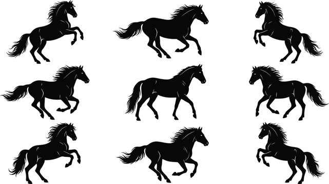 horse galloping running rearing black silhouette set flat vector graphic illustration isolated on white