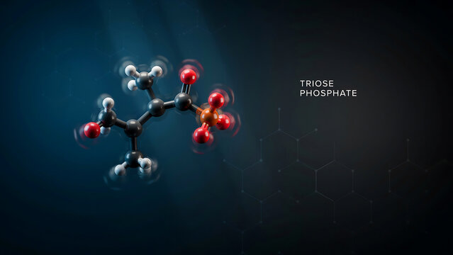 Triose phosphate molecule structure with red and white atoms and black bonds in dark blue background  science and chemistry concept
