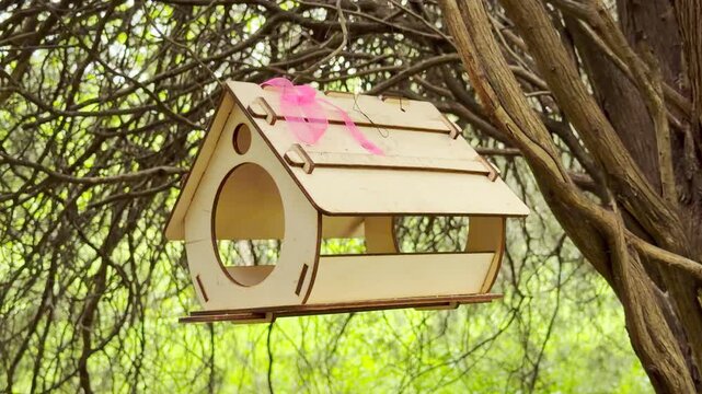 A charming, unpainted wooden bird feeder with a bright pink ribbon hangs peacefully from tree branches. It brings a cheerful sense of warmth and simple rustic beauty to the quiet green forest.