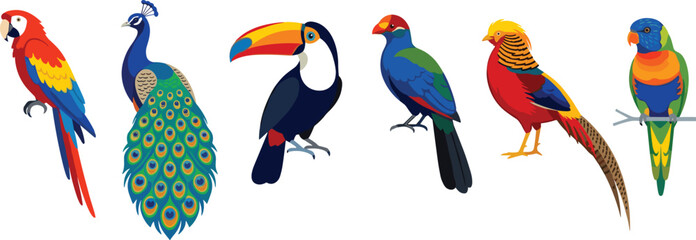 Fototapeta premium Colorful Tropical Vector Bird Icon Set Featuring Macaw, Peacock, Toucan, Quetzal, Golden Pheasant, and Lorikeet Parrots for Wildlife Education and Zoo Graphic Designs