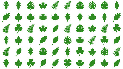 Fototapeta premium Flat green leaf icon collection isolated on white background