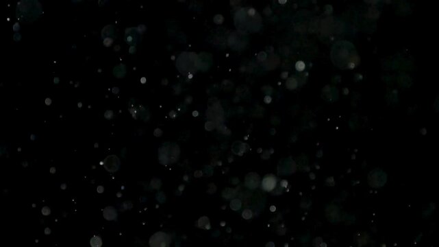 Black background with white particles floating.