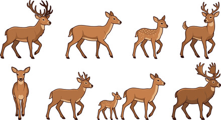 Fototapeta premium Deer Vector Icon Set Featuring Stag, Doe, and Fawn in Various Poses for Wildlife, Nature, Hunting, and Autumn Seasonal Graphic Designs