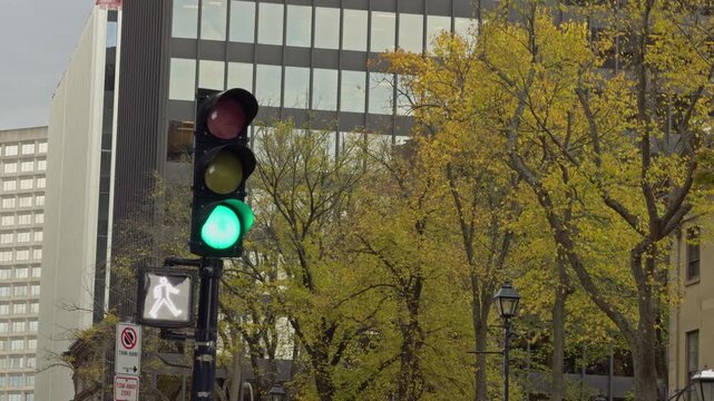 Traffic lights in Halifax show red and green signals. Pedestrians wait to cross the street while trees change color in the background