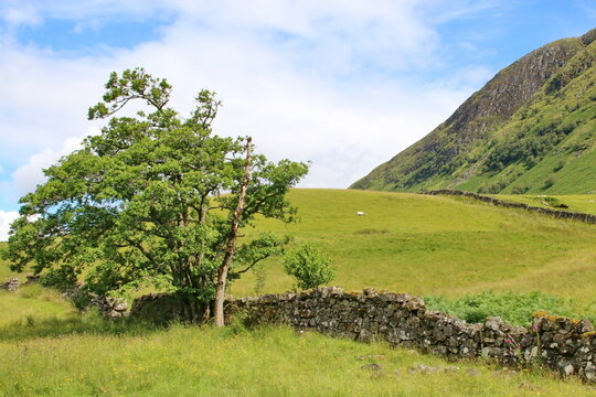 Glen Nevis, Schottland