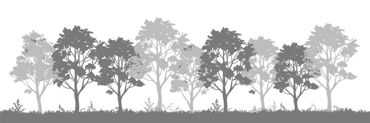 CAD tree drawing, landscape architecture vegetation outlines, minimal forest section graphics, side view planting elements, technical vector illustration. © AYAT 01