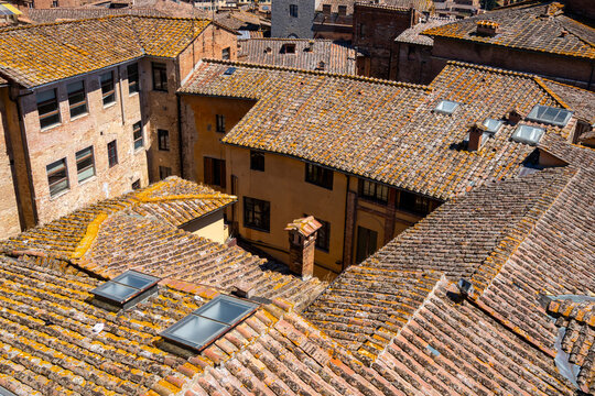 Ausblick vom Facciatone  auf die mittelalterliche Stadt Siena  Toskana, Italien