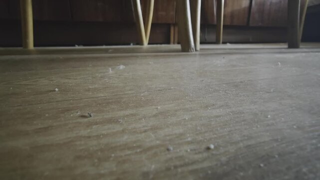 Low angle view of a dirty wooden floor covered in dust, hair, and lint. Neglected domestic housework and allergy concept