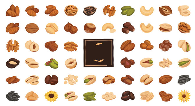 Large collection of different types of nuts and seeds including almonds and walnuts for healthy snack packaging and diet information.