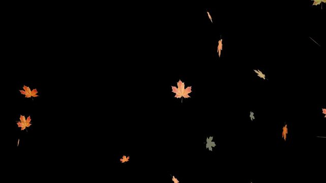 Falling autumn leaves backgrounds - isolated and loopable.Autumnal maple leaves rotation on white background. Vibrant autumn leaves gently falling. perfect for compositing, motion nature scene abstrac