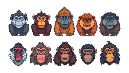 Monkey Collection: A vibrant and diverse collection of cartoon monkey faces, showcasing various species with expressive eyes and distinct features, presented in a lively graphic style. © Murshida