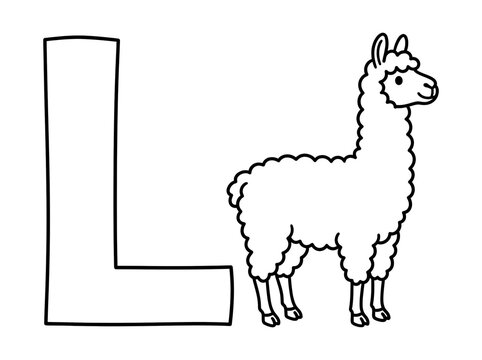 Letter L and Adorable Llama Illustration for Education