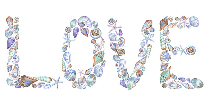 Lettering of the word Love created from the seashells. Detailed and elegant hand-drawn watercolor design isolated on transparent. Colorful multi-functional artwork for summer