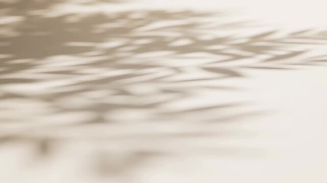 Tracking shot of gentle blurred leaf shadows slowly moving across warm beige wall surface
