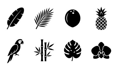 Tropical Icons Set: Parrot, Pineapple, Coconut, Bamboo, Orchid, Palm Leaves, Banana Leaf, Monstera, Vector Graphics for Summer and Exotic Themes © pixostudio