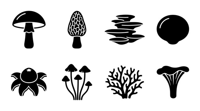 Mushroom Icons Set: Diverse Fungi Silhouettes for Nature and Food Graphics, Vector Collection