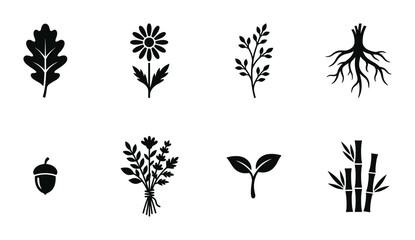 Botanical Vector Icons Set: Oak Leaf, Daisy, Twig, Roots, Acorn, Herbs, Sprout, Bamboo © pixostudio