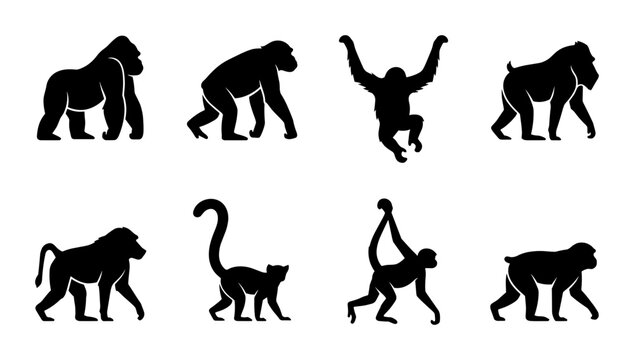 Primate Silhouettes Collection: Gorilla, Orangutan, Baboon, Monkey Icons for Wildlife and Zoo Graphics