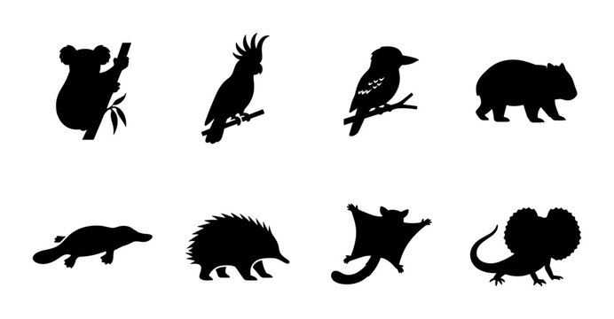 Australian Wildlife Silhouettes: Koala, Cockatoo, Kookaburra, Wombat, Platypus, Echidna, Sugar Glider, Gecko Vector Icons