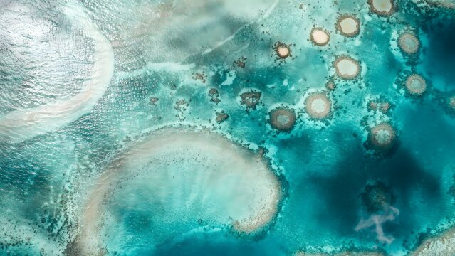 Close-up of colorful bacteria and mold cultures on petri dishes in laboratory setting