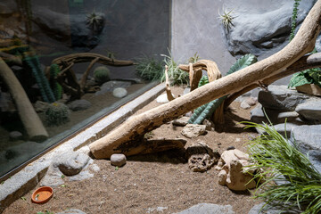 View of reptile terrarium with sand and branches. © Erman Gunes
