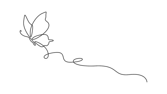 Butterfly animation in minimalist continuous line drawing style for creative design video projects. Minimalist self-drawing animation of a flying butterfly icon in elegant single line art.