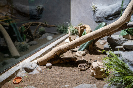View of reptile terrarium with sand and branches.