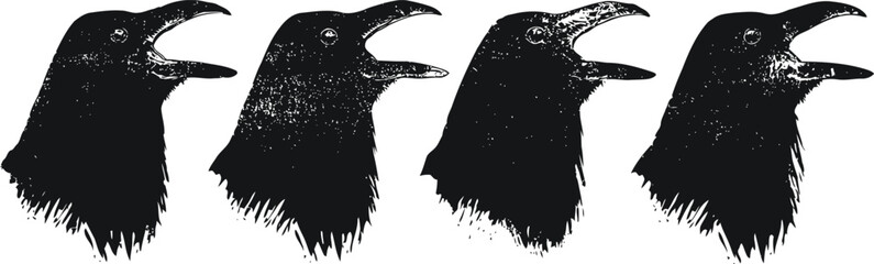 Obraz premium Four black crow heads silhouettes with open beaks in a row isolated on white background